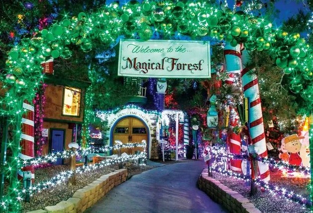 Things to Do in Vegas - Magical Forest