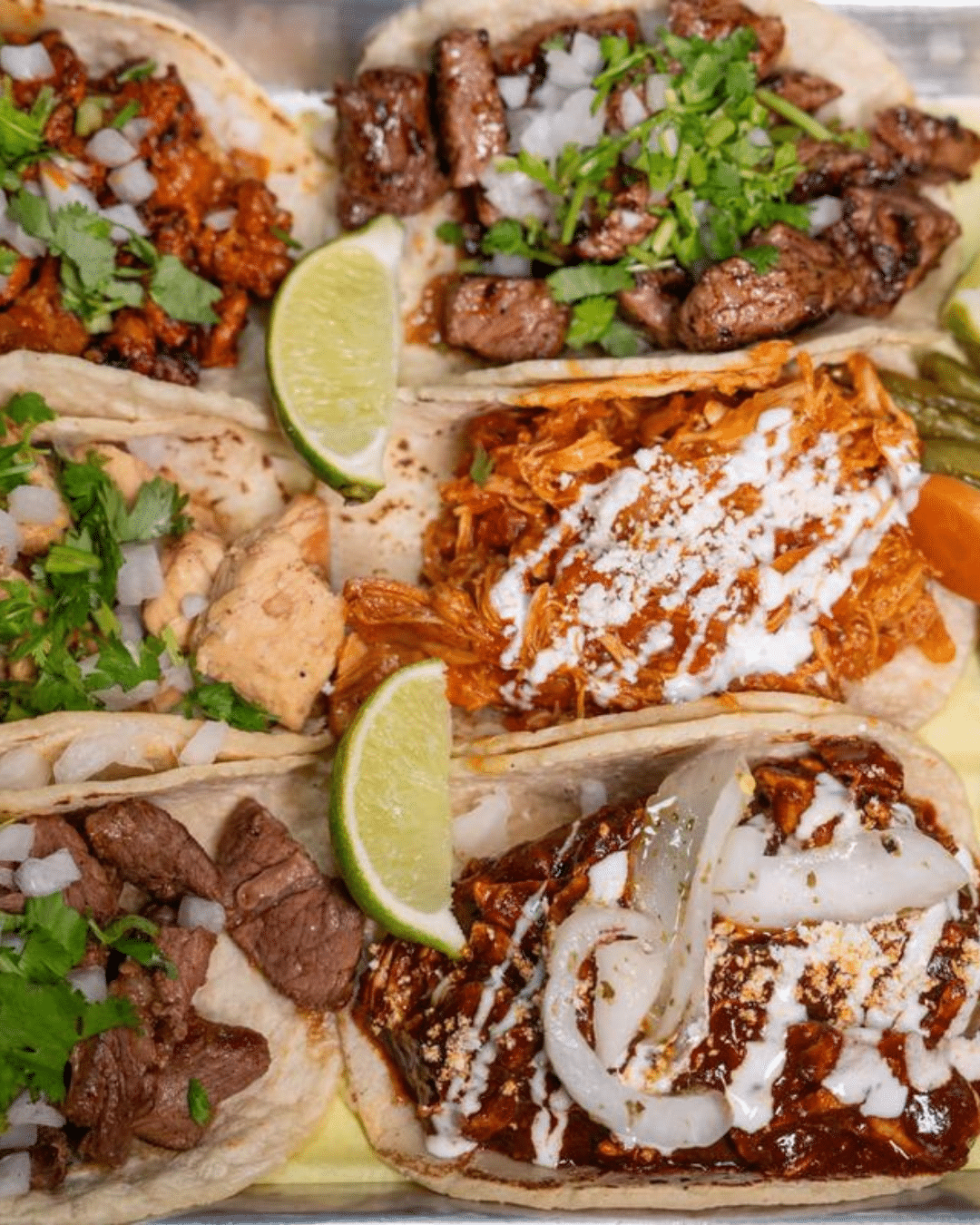 Atomic Scooters Rentals & Tours 29 11